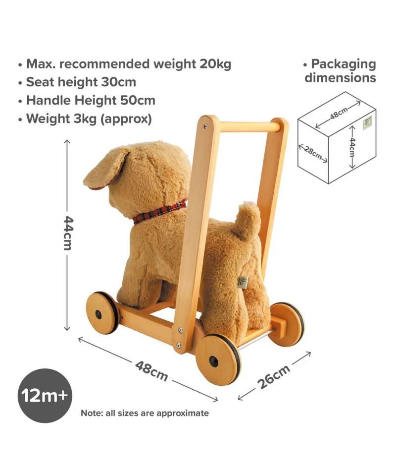 Infographic image of Dexter toy dog walker showing dimensions