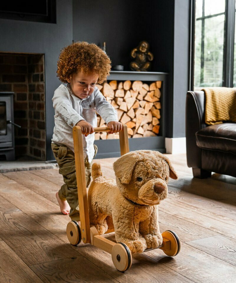 Toddler boy walking dexter dog baby walker