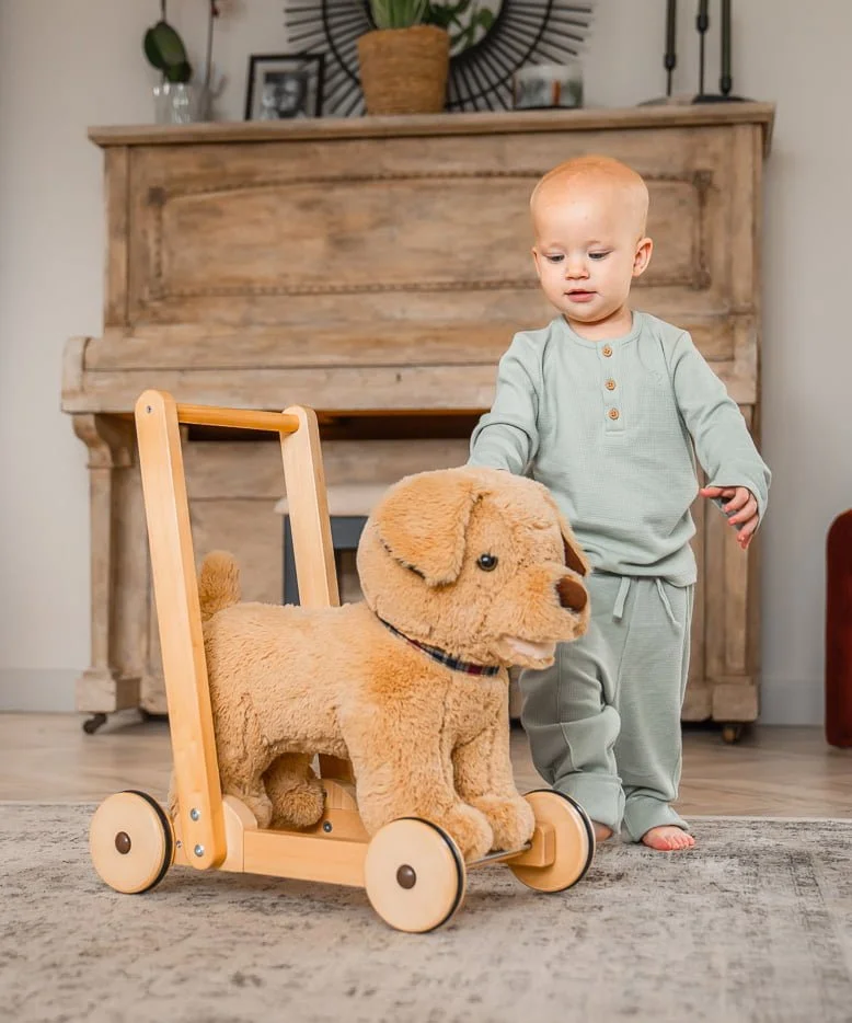 Little boy next to dexter dog walker baby toy 
