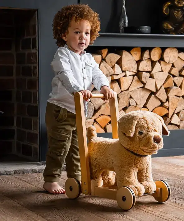 Little boy pushing dexter dog baby walkers with wheels 
