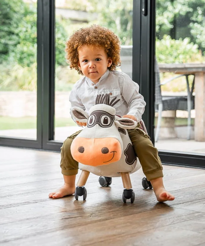 little boy scooting on moobert cow ride on 