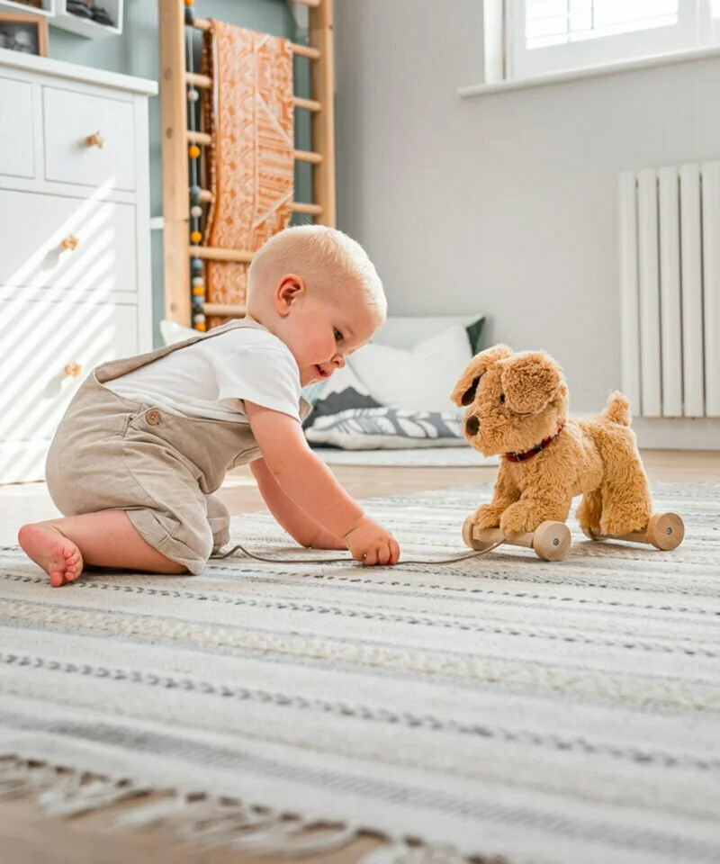 Child pulling dexter pull toy 