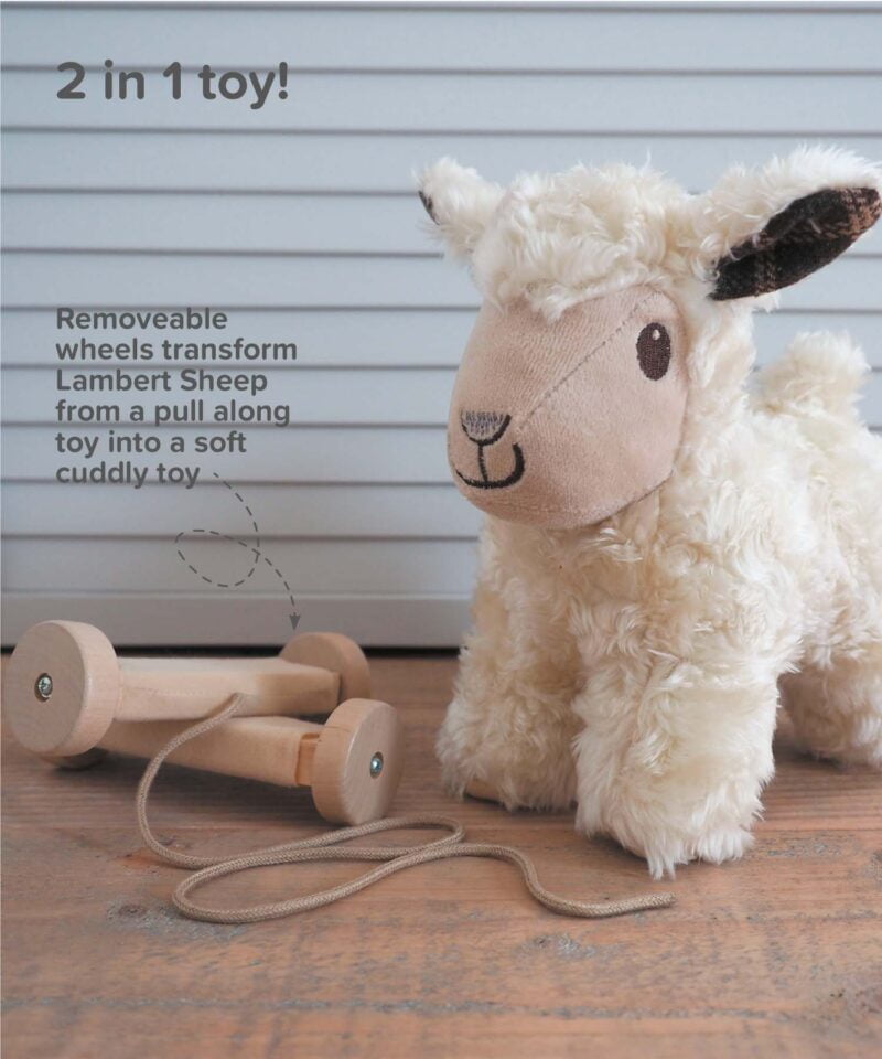 Infographic image of Lambert Sheep Pull Along Toy showing removeable wheels