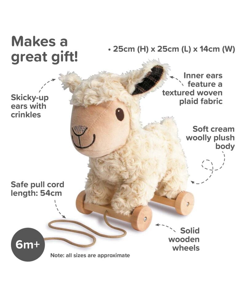 Infographic image of Lambert Sheep Pull Along Toy showing features and benefits