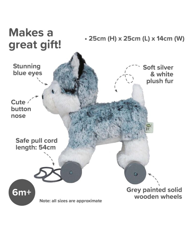 Infographic image of Mishka Dog Pull Along Toy showing features and benefits