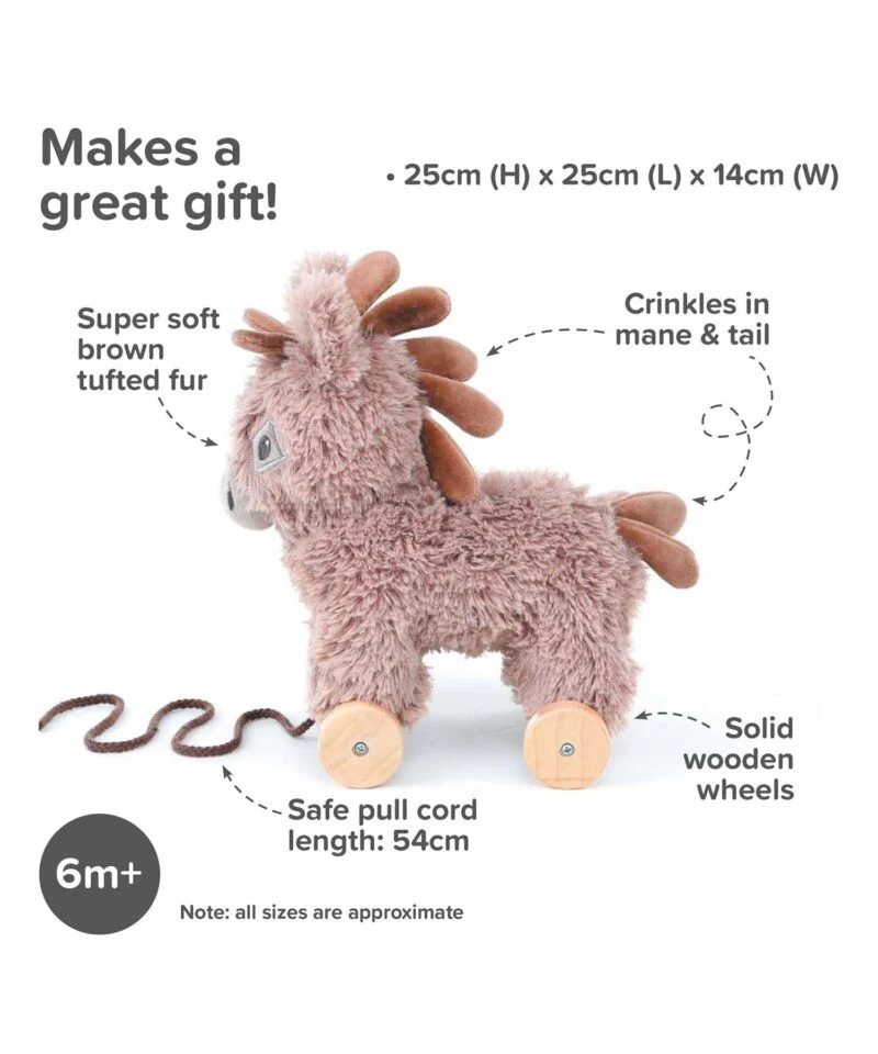 Infographic image of Norbert Donkey Pull Along Toy a perfect toddler gifts