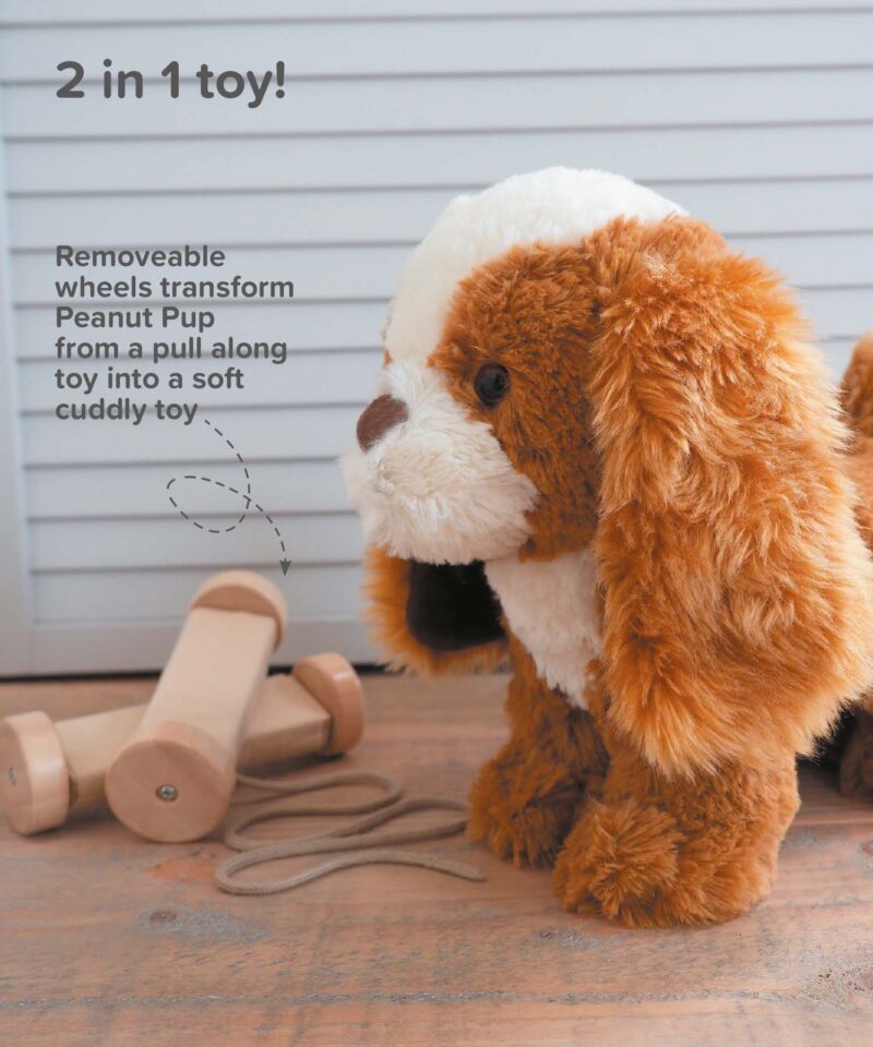 Infographic image of Peanut Pup Pull Along Toy showing removeable wheels