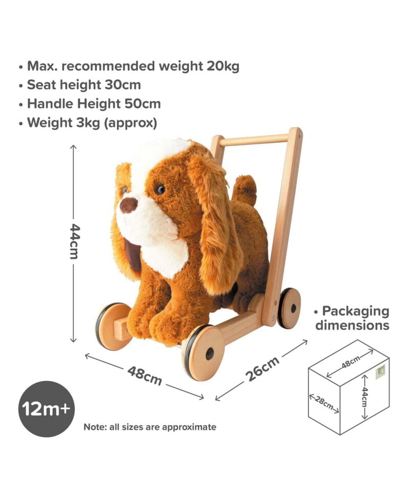 Infographic image of Peanut Pup Baby Walker showing dimensions