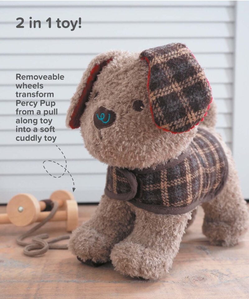 Infographic image of Percy Pup Pull Along Toy showing removeable wheels
