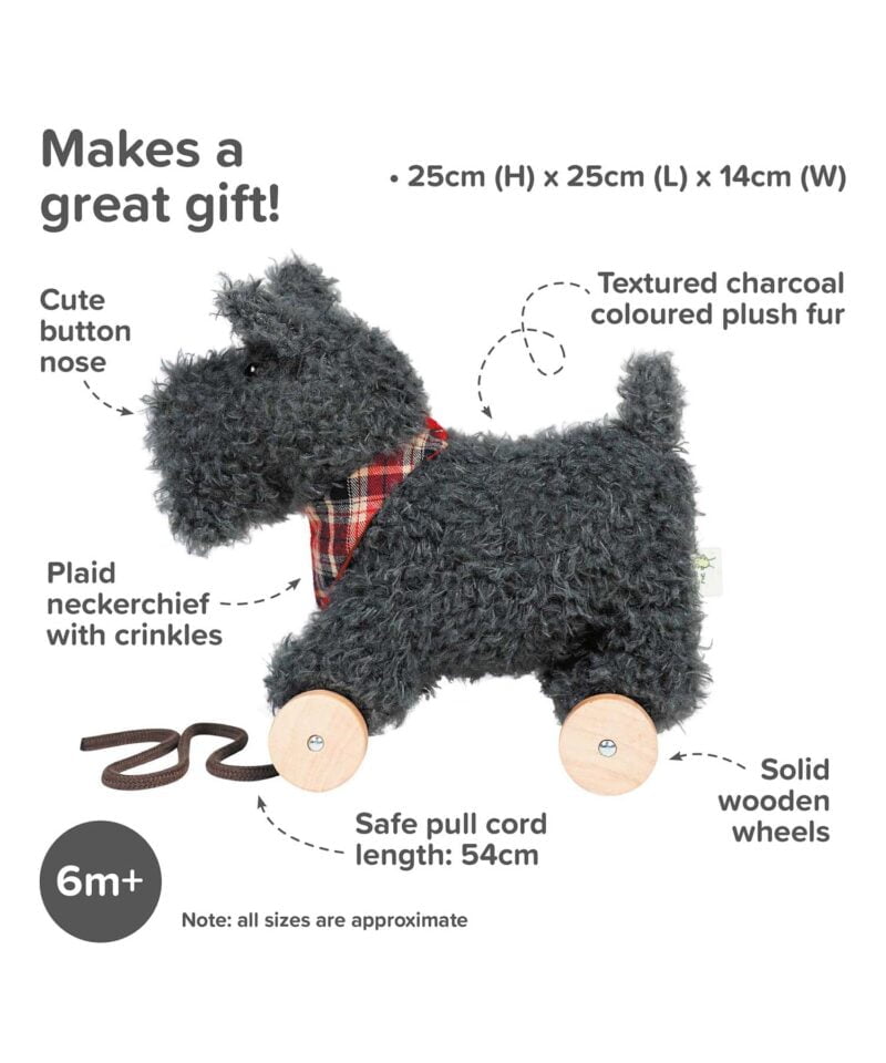 Infographic image of Scottie Dog Pull Along Toy showing features and benefits