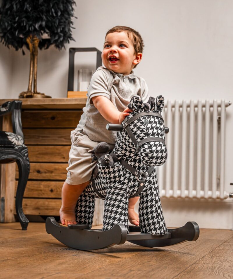 Little boy riding newborn rocking horse dazzle & jet