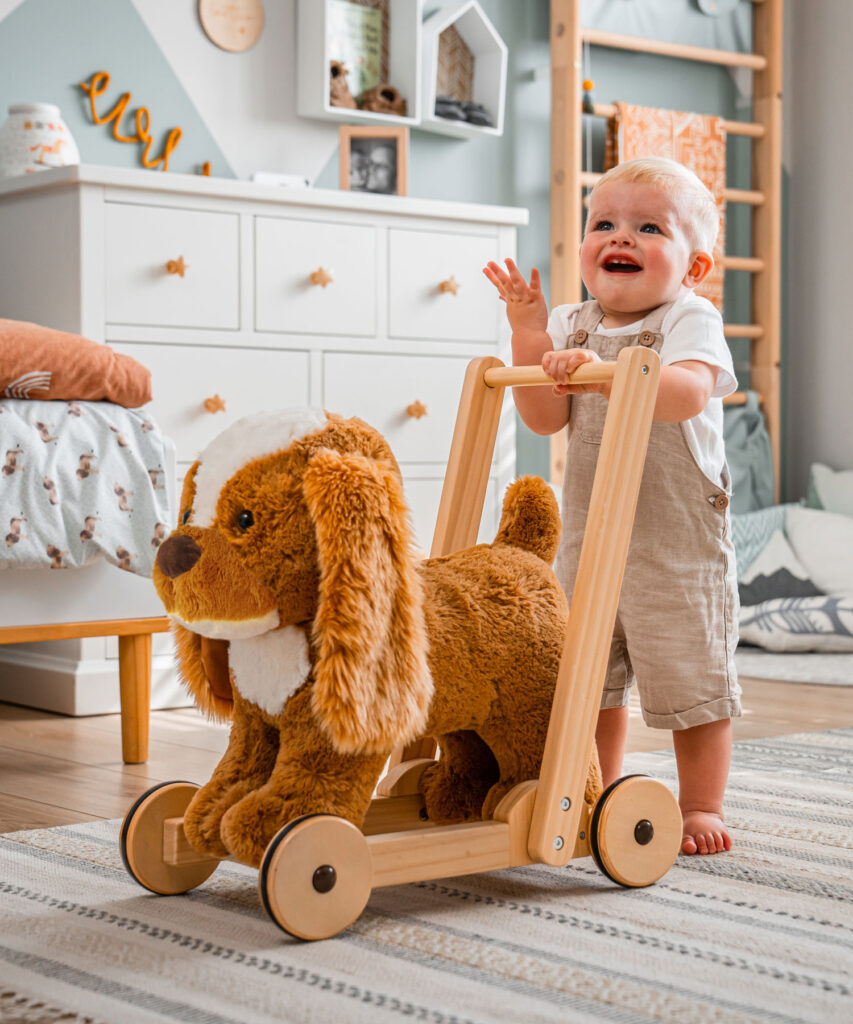 Boy with dog walker toy