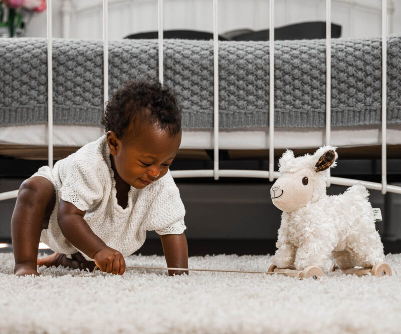 Little girl playing with sheep pull toy