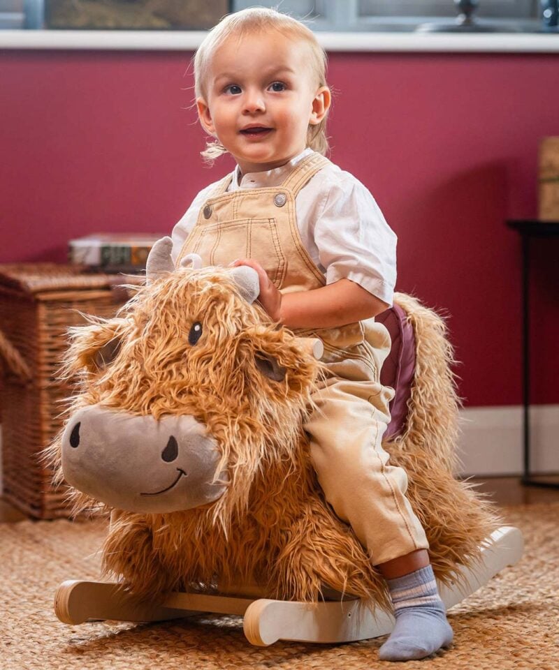 Little boy in dungarees sitting on a rocking highland cow 
